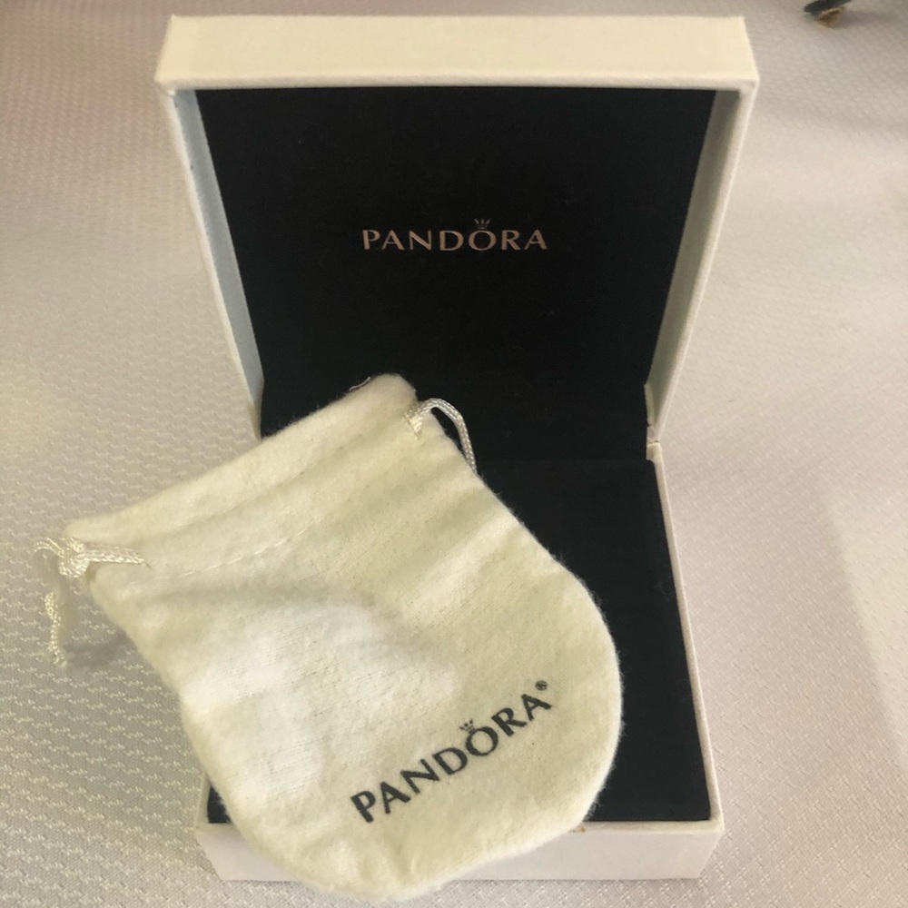 Empty pandora charm bracelet box